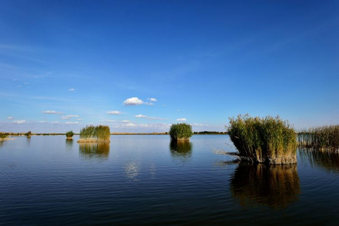 Qixing Lake Desert Ecological Tourism Area